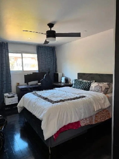 Fully furnished beautiful 1 BR apartment Image# 1
