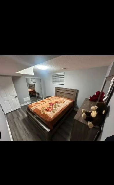 one bedroom basement Image# 1