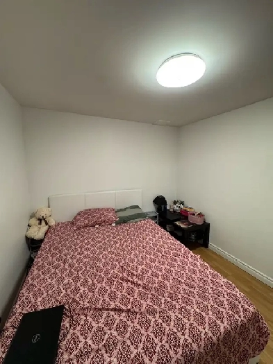 one room for rent in 2 bedroom basement for 2 girls or single g Image# 2
