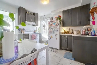 Big 5 1/2 in NDG Image# 1