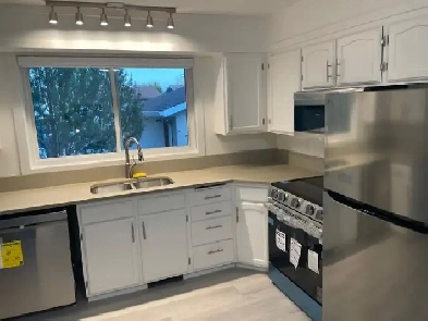 ✨ Fully Renovated 3-Bedroom, 2-Bathroom Main Floor Suite Image# 6
