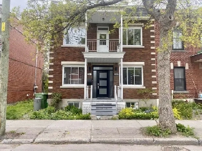 Newly renovated house for rent Image# 12