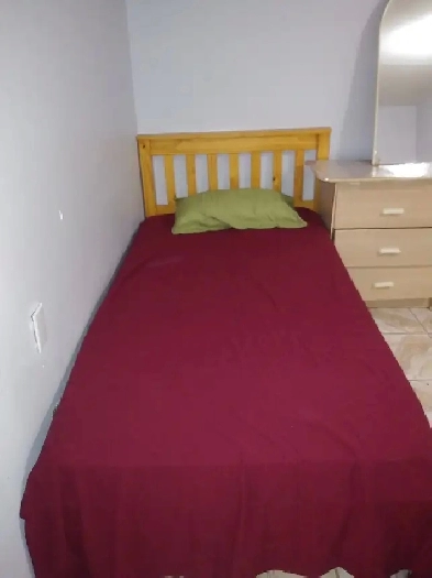Sharing Room for Rent near Humber College -North Campus Image# 1