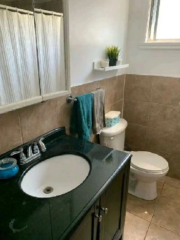 Grand 5.5 RDC rénové  cour arrière Triplex Brossard  à 5mn Dix30 Image# 1