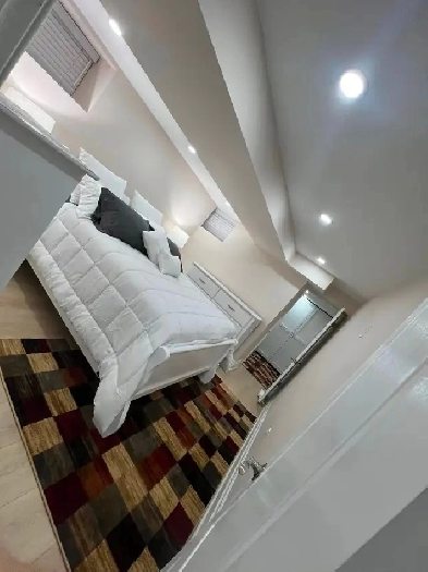 Luxury Furnished One-Bedroom Basement Apartment in High Park. Image# 10