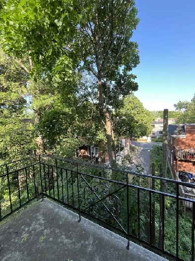 3 1/2 in CDN , newly renovated, new appliances, lease transfer! Image# 1