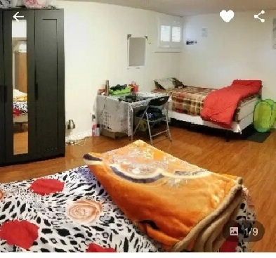 shared room rent only for female Image# 1