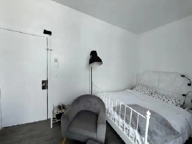 CESSION DE BAIL - Petit studio rue Ontario - 1er Juillet Image# 1