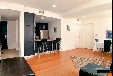 Charmant condo 3 1/2, meublé, Vieux Montréal Image# 1