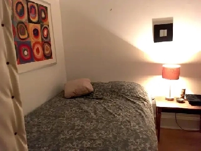 Chambre dans la Petite Patrie, juillet Image# 2