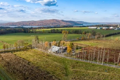 Hatley, domaine de 30 acres, bleuets et cassis, bâtiments Image# 1