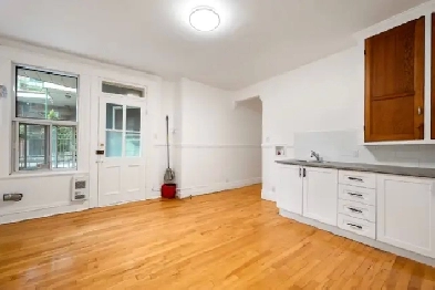 TRÉS BEAU 4 1/2 À DEUX PAS DU MÉTRO ET À 10 MIN DU CENTRE VILLE Image# 1