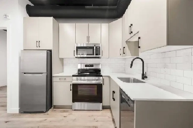 New Luxury 1 Bedroom Apartments for Rent! Image# 5