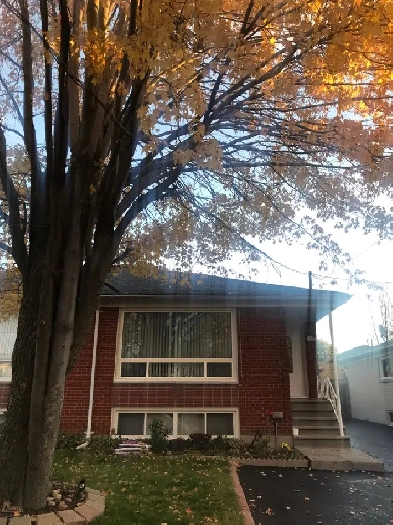 One bedroom (Erindale & Dundas) for rent Image# 3