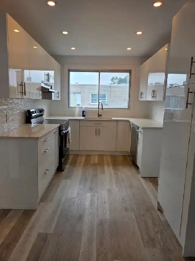 Renovated Apartment for rent in cote saint luc Image# 4