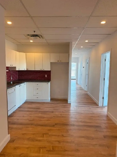 Bureau à louer / Office for rent - 2120 Sherbrooke e - 1566 pi2 Image# 14