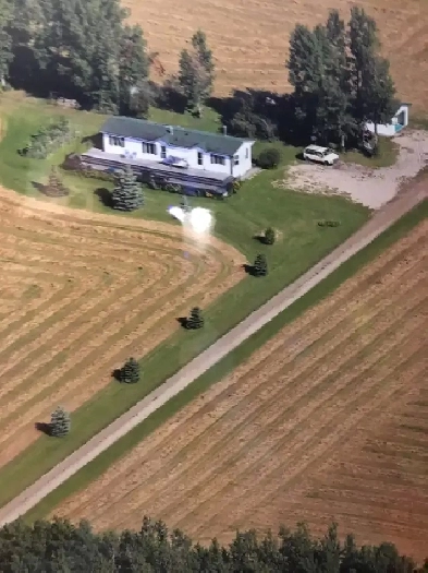 Home for rent on 160 acres near Drayton Valley Image# 7