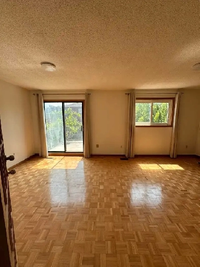 Beautiful 1 Bedroom Self-Contained Apartment Image# 4