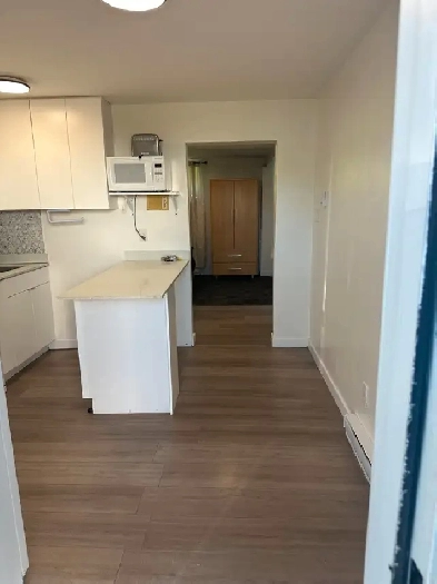 Bachelor Suite for Rent Image# 3