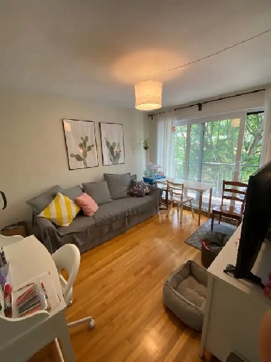 Lovely/Bel  3.5 flat (1 cac/1bedroom) in Plateau-Mont-Royal Image# 1
