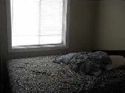 3 bedroom house in Saddleridge Image# 1