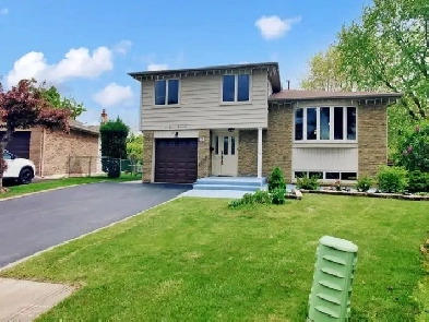 4BR 3WR Detached in Brampton near Greenmount/Glenvale Image# 1