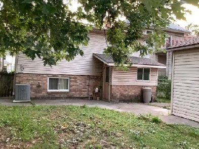 A nice female room for rent Image# 1