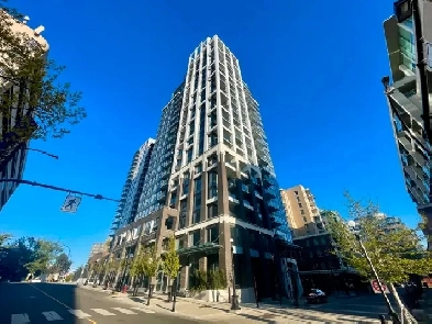 Executive Level Condo - 2 Bed, 2 Bath - Incredible amenities! Image# 10