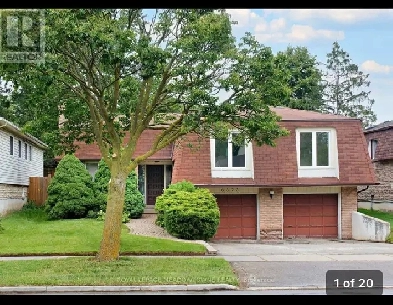 Spacious - Fully Renovated 4 bedroom 2 bathrooms house for rent Image# 1