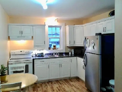 Bright 1 Bedroom Available June 15th - Campbellton Image# 4