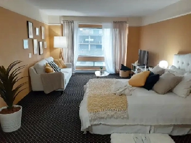 Appartement 1 ½ à louer centre-ville de Montréal - repas inclus Image# 11