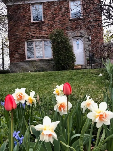 Detached,quiet house to share  Smythe Park- St. Clair/Scarlet Image# 6