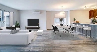 Condo, 2 ROOMS, Sem-Furnished, WIFI, - 5 minutes from Ottawa Image# 3