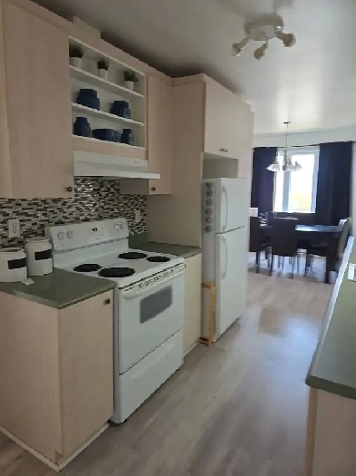 Logements 3 1/2 pour 55 ans et plus Châteauguay Image# 5