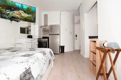 Furnished Studio - Downtown Image# 5