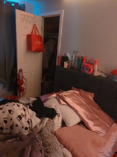 Je recherche une coloc sérieuse pour partager un 5/12 poêle frig Image# 3