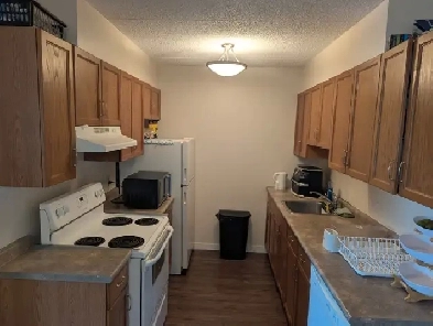2 bedroom 1 bath available for July 1st Image# 4