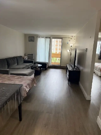 Appartment for rent Image# 4