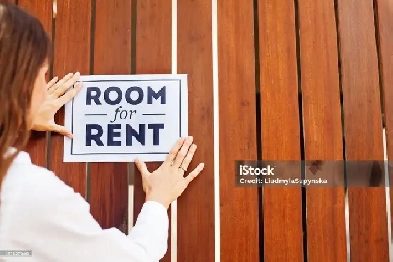 ROOM FOR RENT NEAR FINCH AND DON MILLS Image# 2
