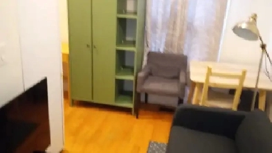 Cozy furnished 1 bedroom apartment downtown available July 1 Image# 2