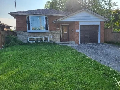 1 available  in a 3 bedroom basement apt. in Scarborough Image# 1