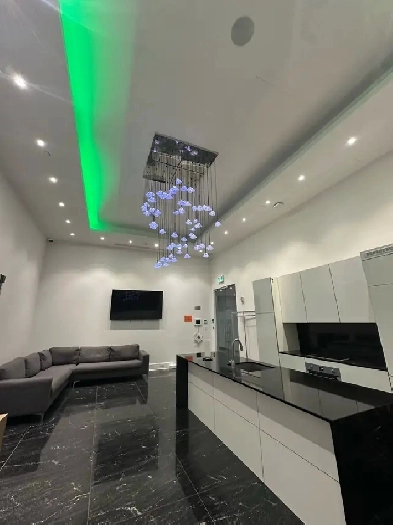 big Luxury condo downtown Image# 3