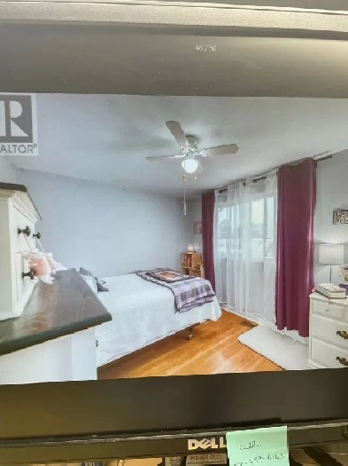 Room for Rent Image# 2