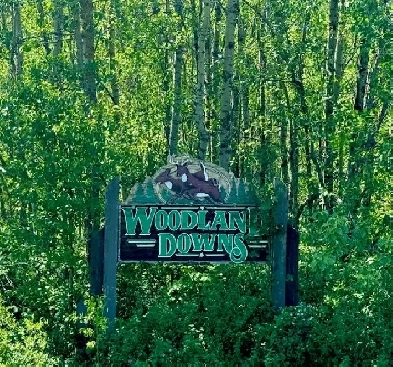 6.89 acre lot for sale in Sherwood Park Image# 4
