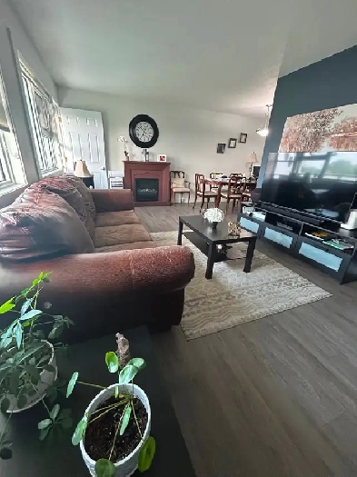 Sublet -Apartment Image# 8