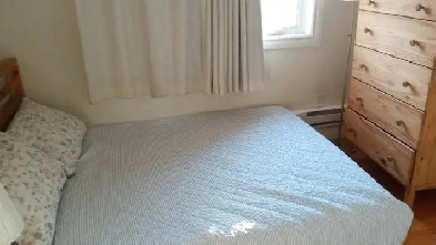 Furnished 1 bedroom apartment downtown ASAP Image# 4