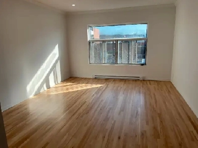 MILE-END/PLATEAU, ON PARK AVENUE, LARGE BRIGHT 5½, 2 BEDROOM APT Image# 1