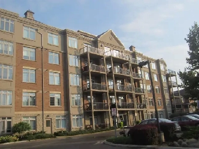 Large 1 Bedroom   1 Bath Aldershot Burlington July 1, 2025 Image# 7