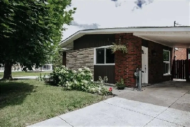 Raised Apartment - 1 Bed/1 bath ( 2 floors) Image# 10
