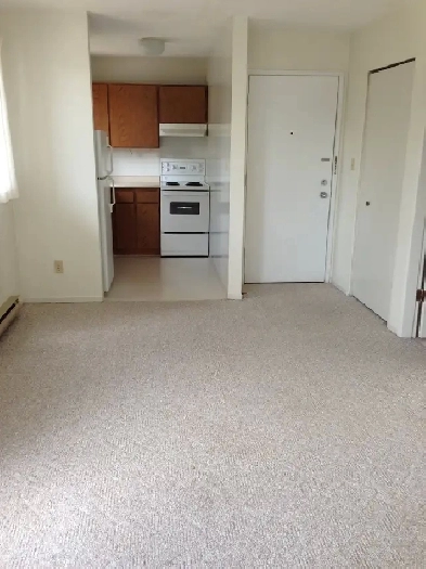 Beautiful Bachelor Apartment for Rent Near Downtown Victoria Image# 5